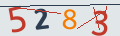 verifycode